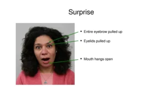 Emotion Recognition in Autism and ADHD